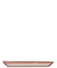 扁盘图标